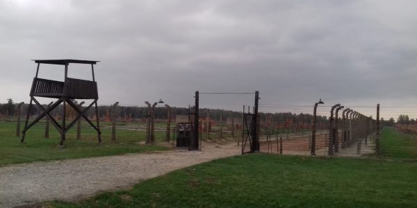 IMG-20191016-WA0016