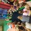 IMG_20220427_092700
