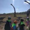 IMG_20220510_104404