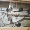 IMG_20221029_095826