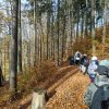 IMG_20221029_103520