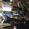 IMG_20221029_112027
