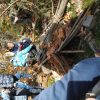 IMG_20221029_113526