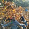 IMG_20221029_123333