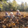 IMG_20221029_124619
