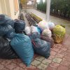 IMG-20231211-WA0008