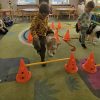 dog5