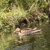 IMG_E0608
